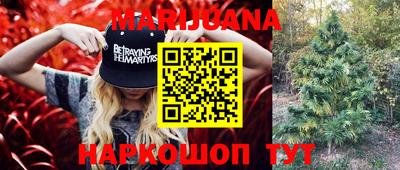 трава Моздок