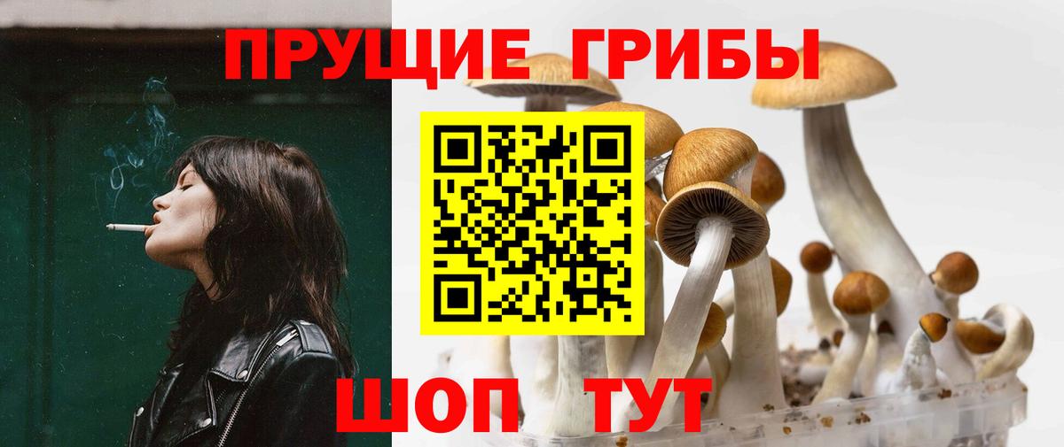 Псилоцибиновые грибы мицелий  Вход с VPN  Шелехов 